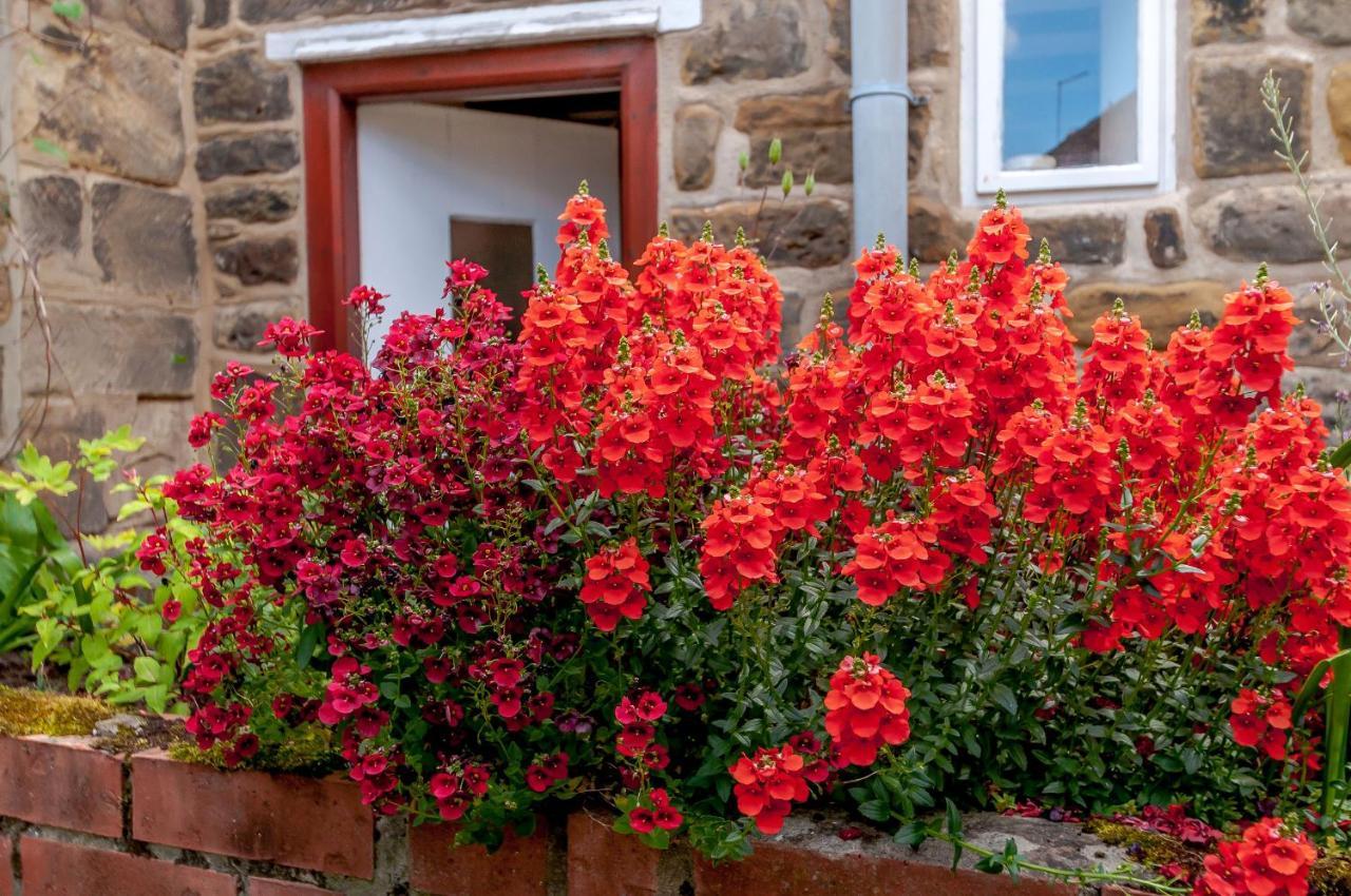 גיסבורו Chimes Cottage מראה חיצוני תמונה